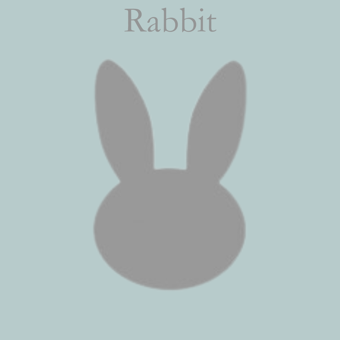 Acrylic Craft Blank - Clear Rabbit