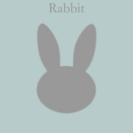 Acrylic Craft Blank - Clear Rabbit