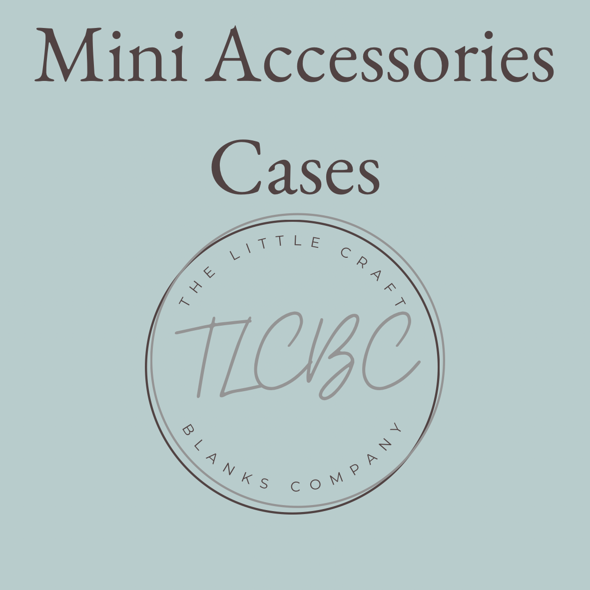 Boutique Mini Accessories Case